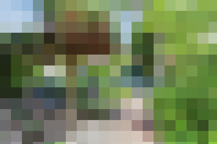 Image 47
