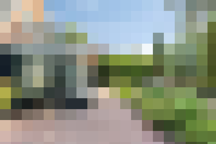 Image 38