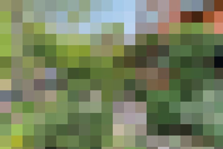 Image 48