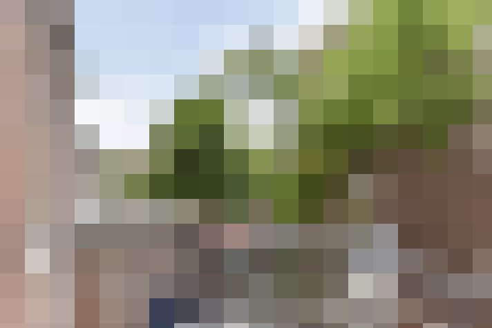 Image 30