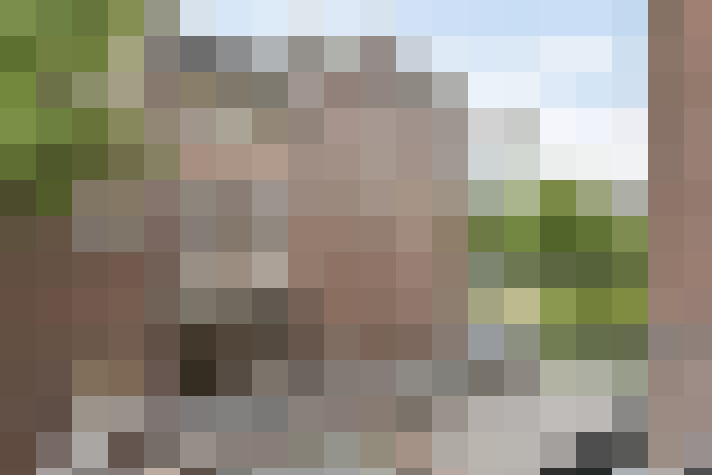 Image 31