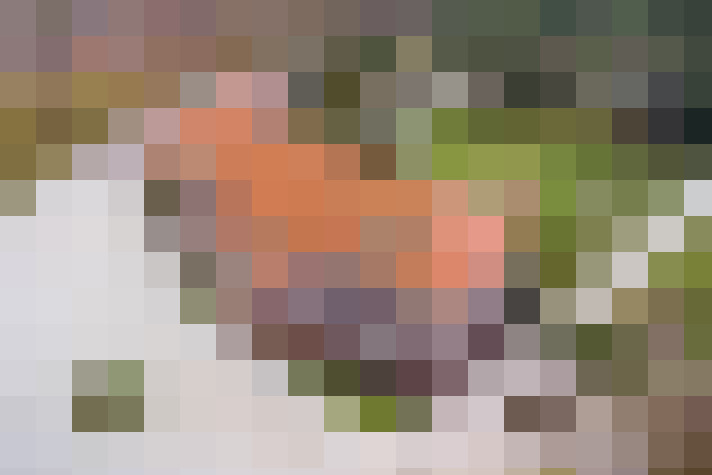 Image 66