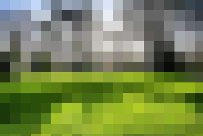 Image 31