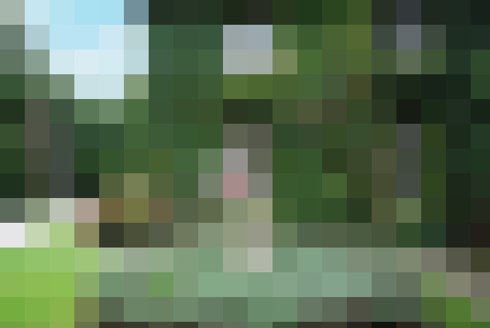 Image 63