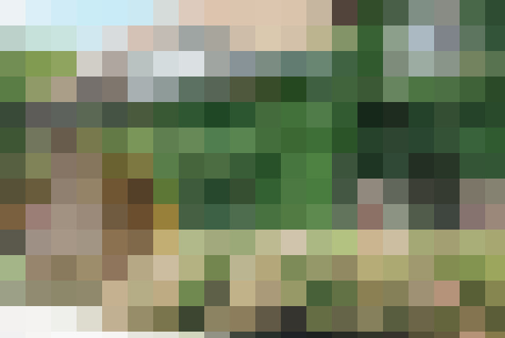 Image 65