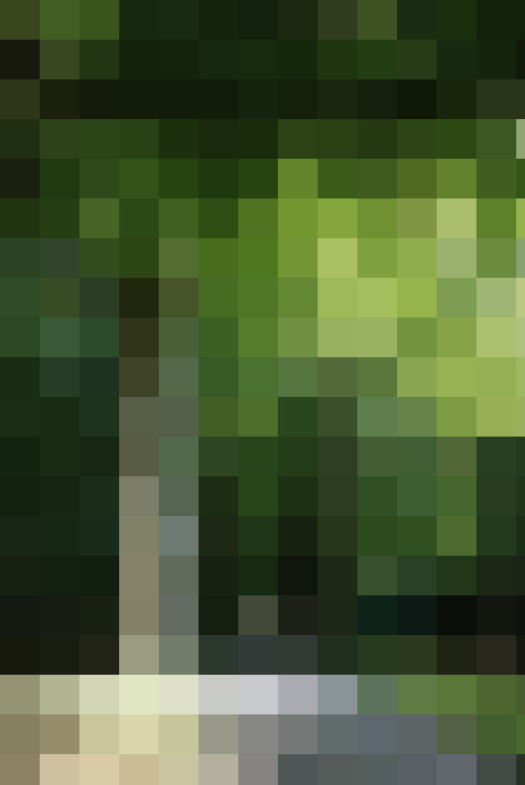Image 35