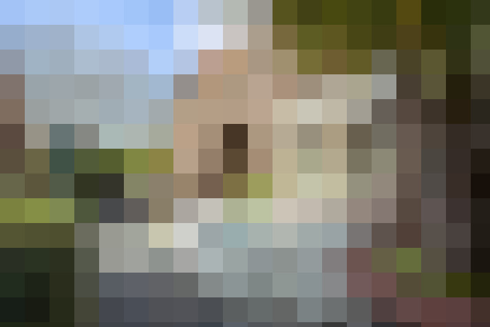 Image 25