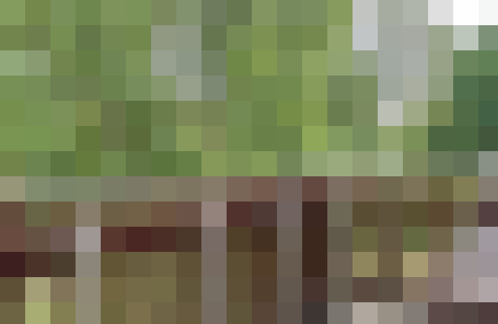 Image 28