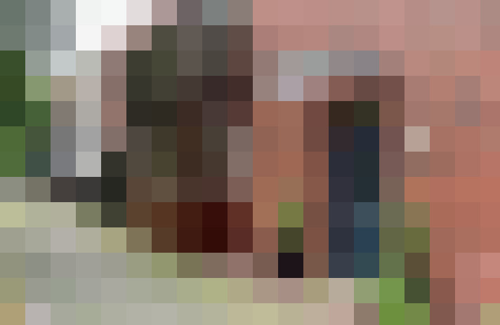 Image 29