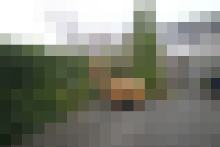 Image 23