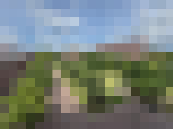 Image 23