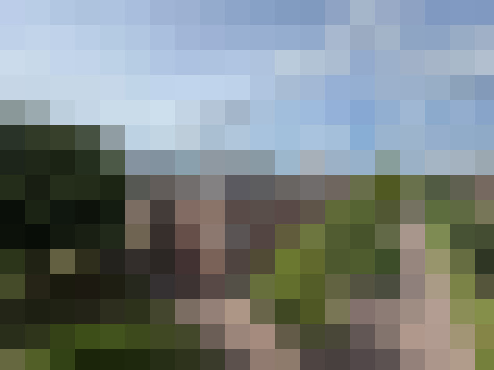 Image 24