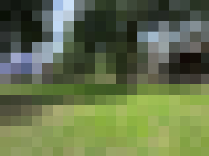 Image 22