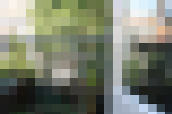Image 17