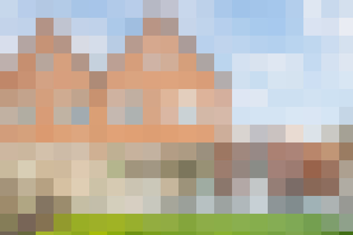 Image 17