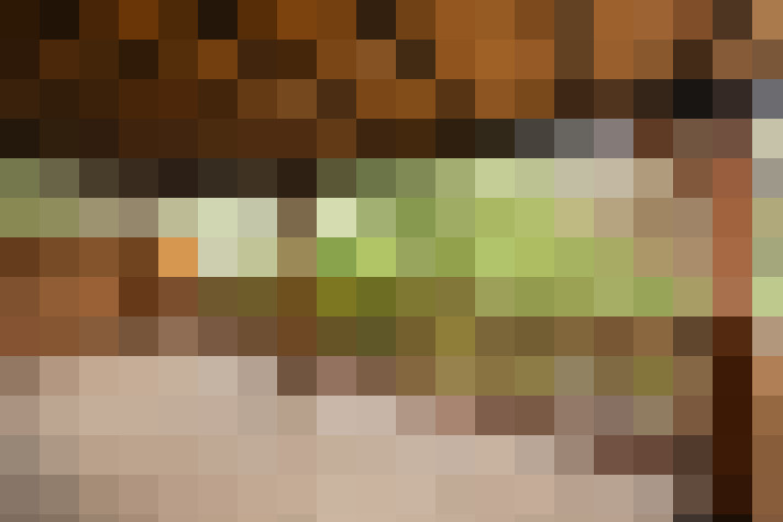 Image 17