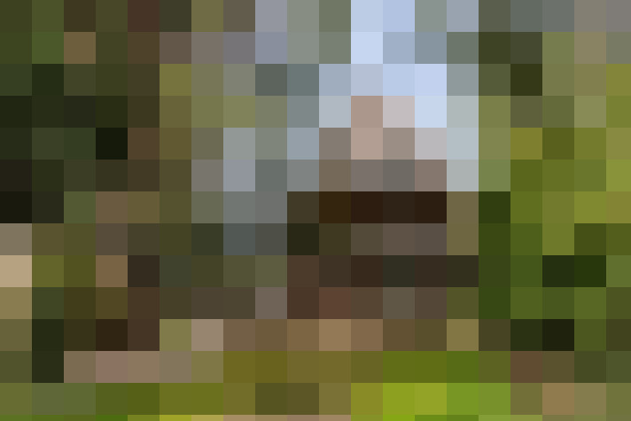 Image 67