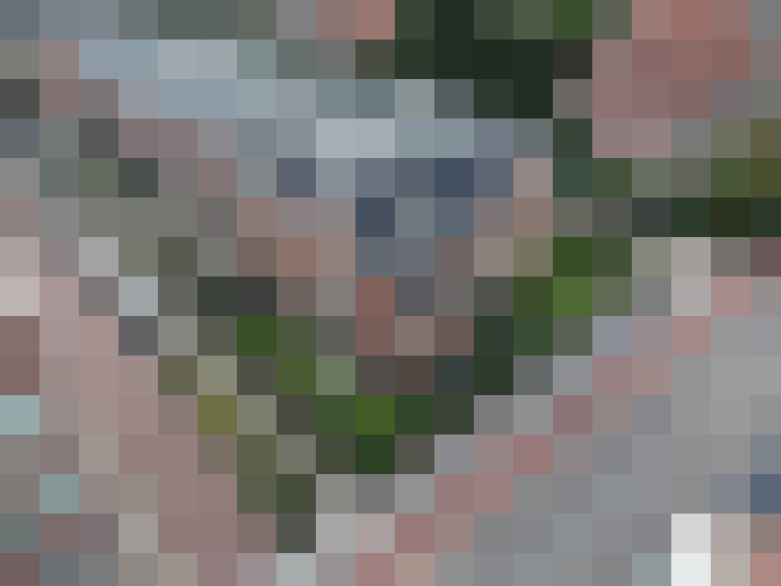 Image 30