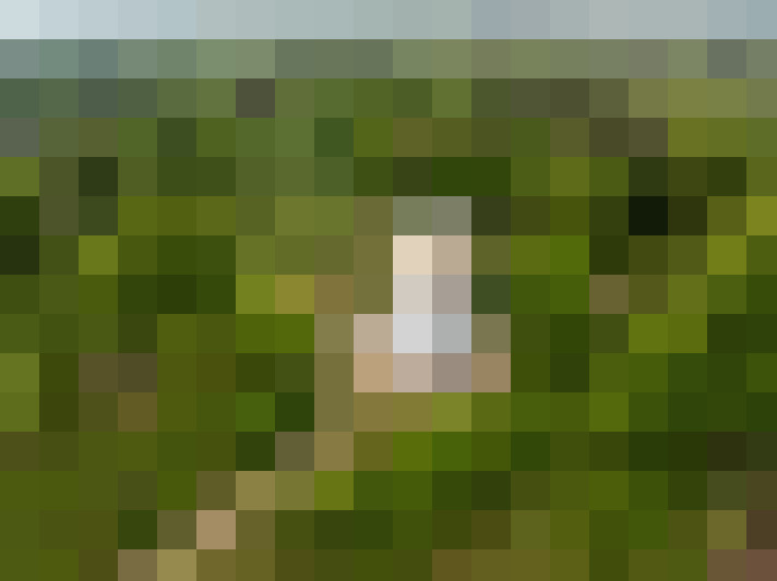 Image 20