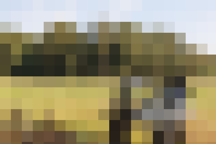 Image 18