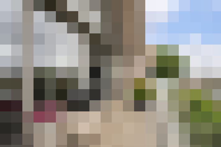 Image 29