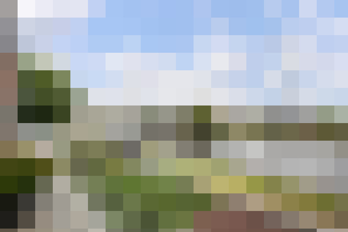 Image 30