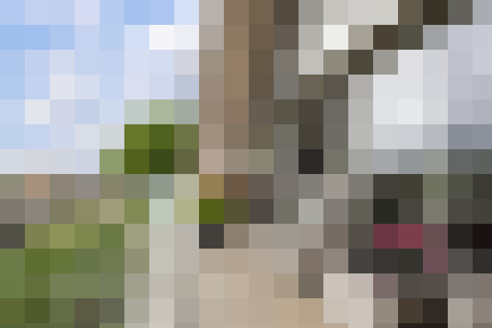 Image 32