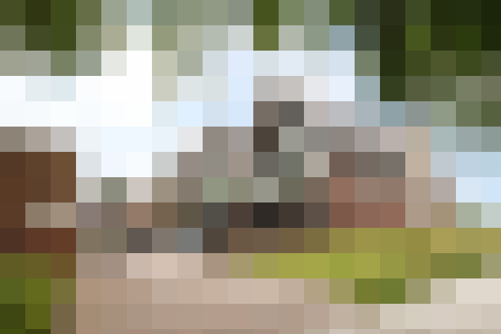Image 55