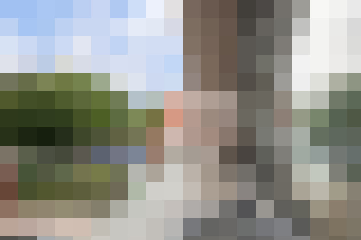 Image 42