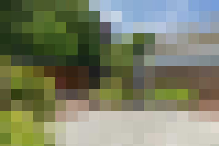 Image 45