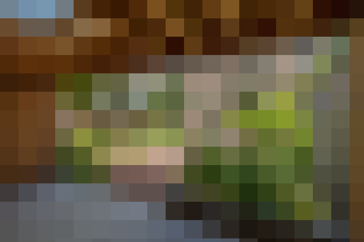 Image 48