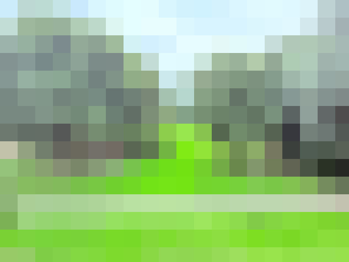 Image 31