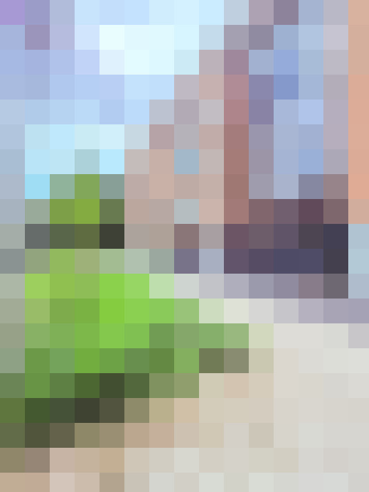 Image 30