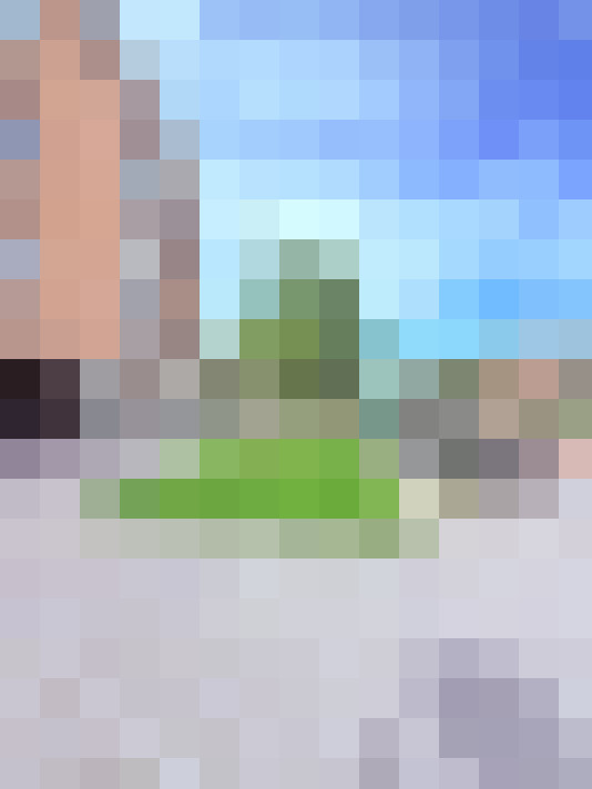 Image 29