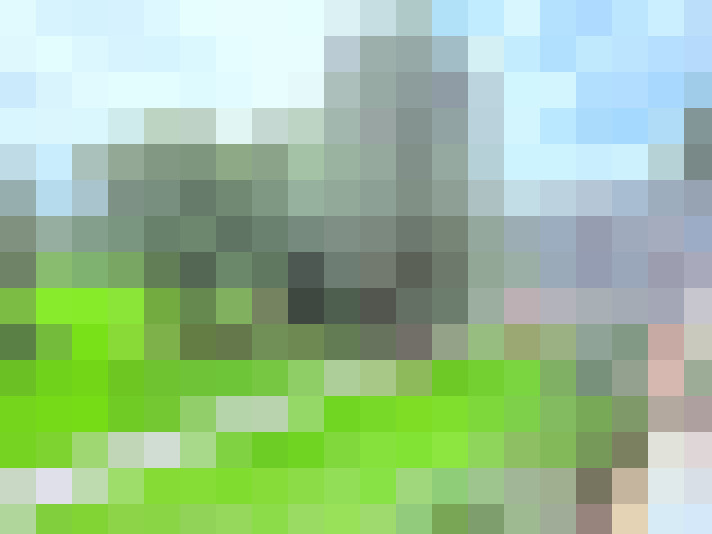 Image 33