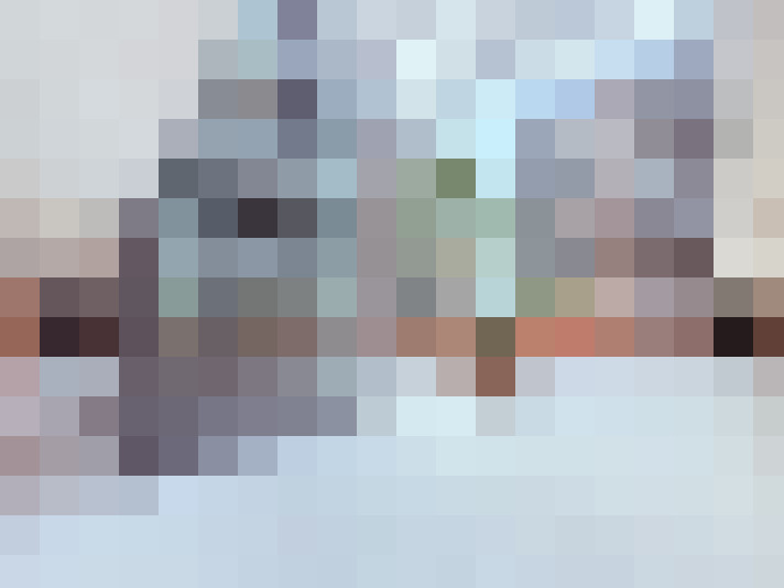 Image 22