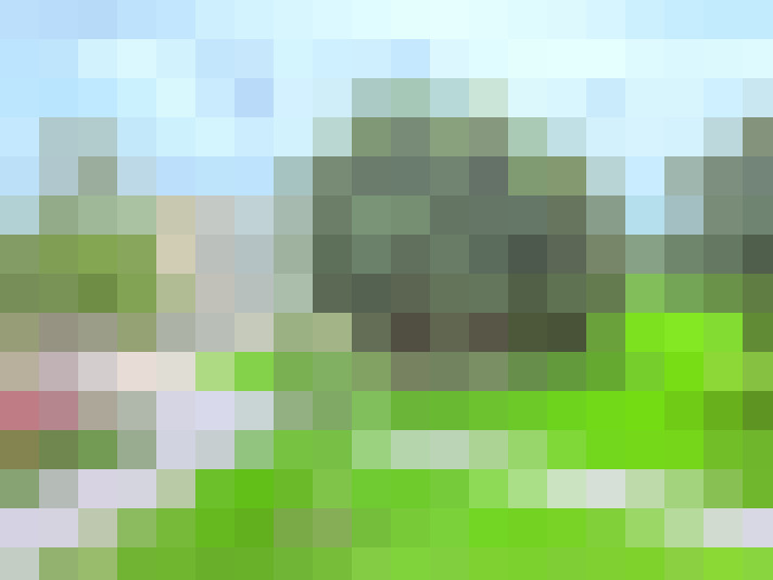 Image 32