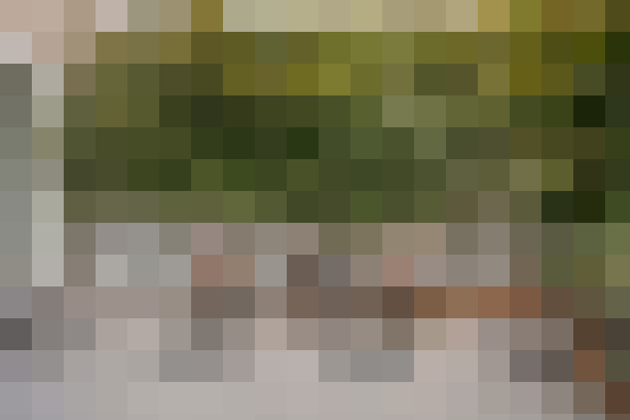 Image 29
