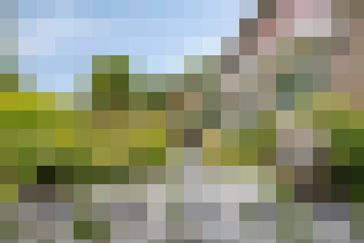 Image 30
