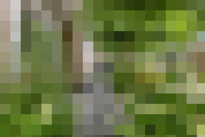 Image 31