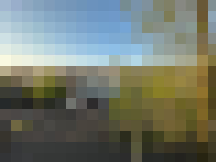 Image 15