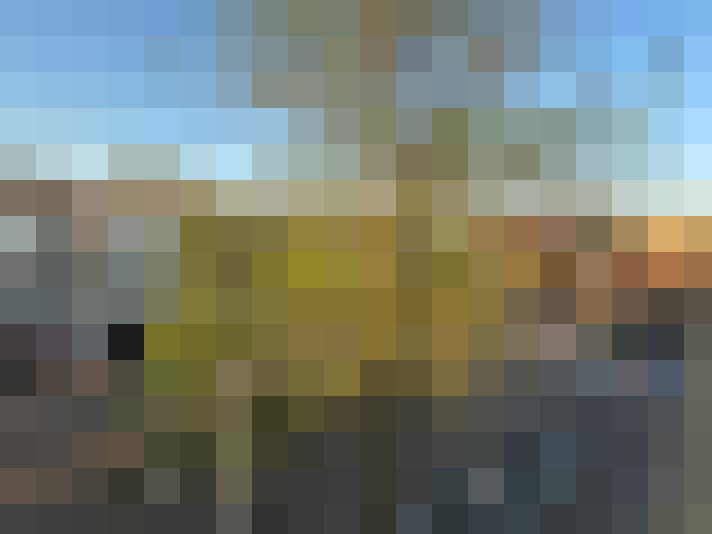Image 14