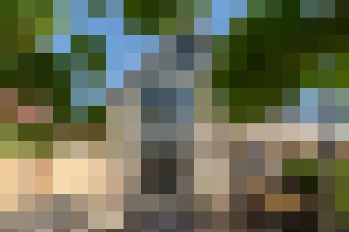 Image 14