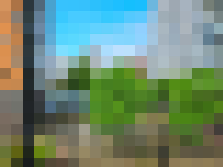 Image 25
