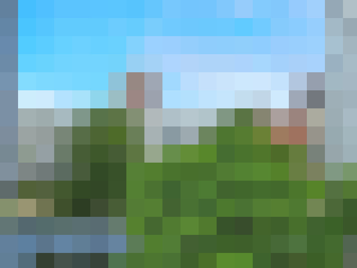 Image 24
