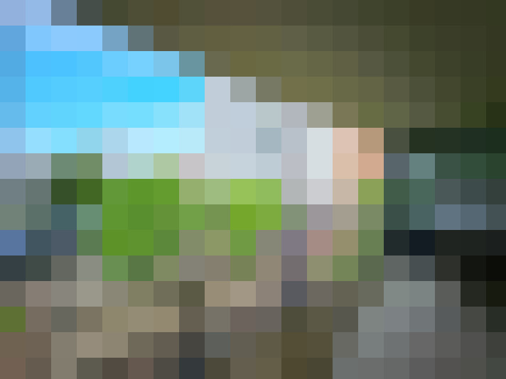 Image 26