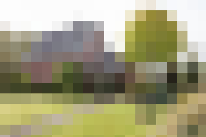 Image 17