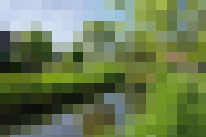 Image 15