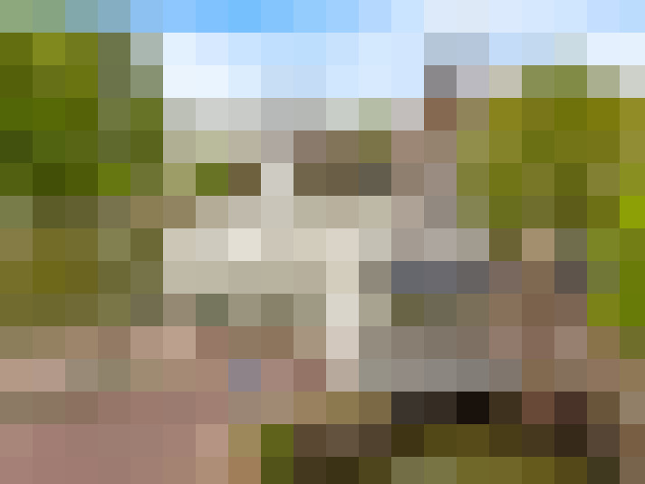Image 17