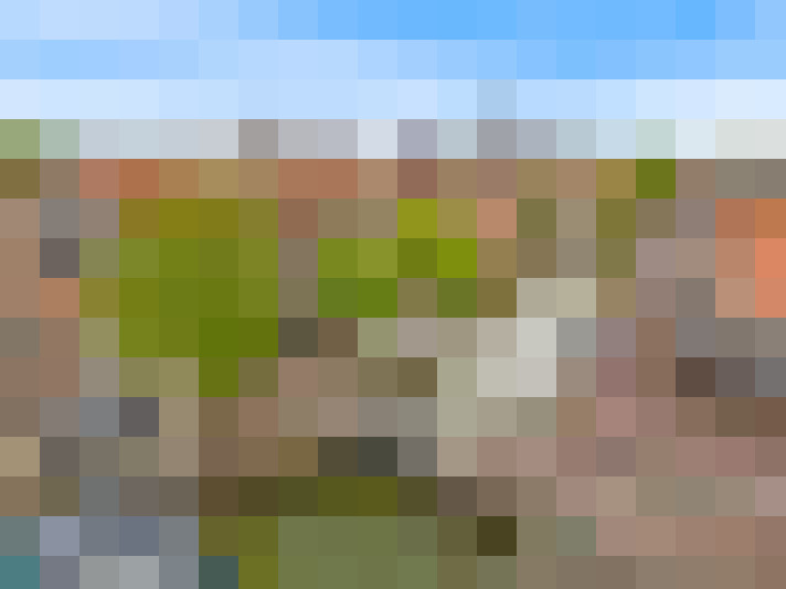 Image 18